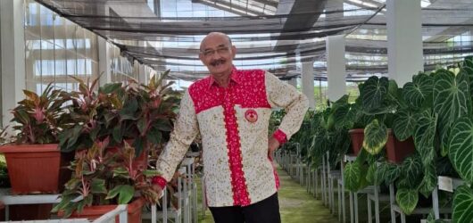 Senyum Lebar Peternak Ayam Petelur: Menanti Stabilitas Melalui HAP
