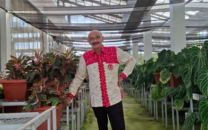 Senyum Lebar Peternak Ayam Petelur: Menanti Stabilitas Melalui HAP