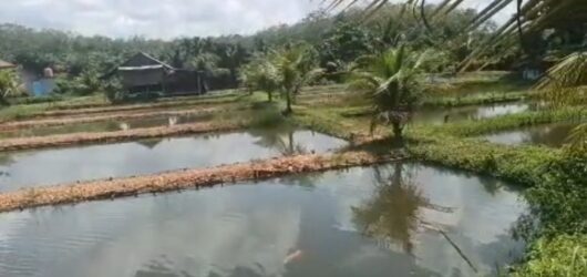 Menunjukkan Cinta Lewat Hal Kecil