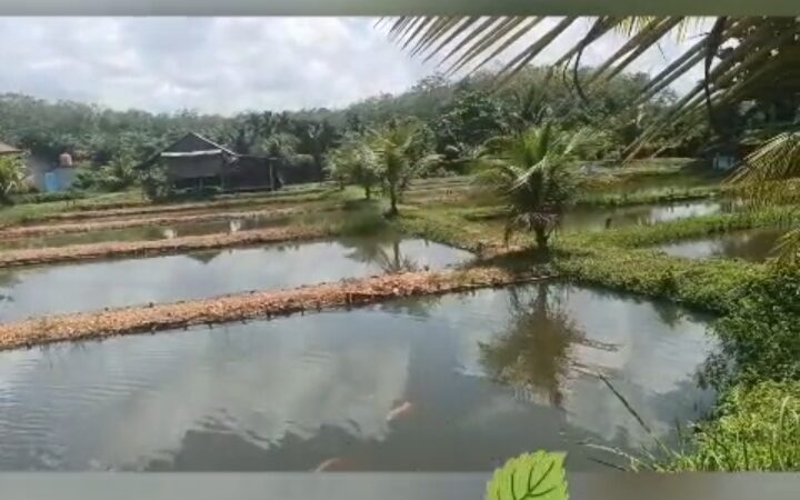 Menunjukkan Cinta Lewat Hal Kecil