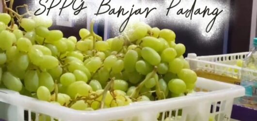 Mengubah Cerita Pahit Buah Impor Menjadi Peluang Lokal